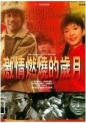 激情燃烧的岁月(影视)