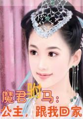 魔君驸马：公主，跟我回家
