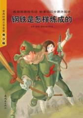 钢铁是怎样炼成的