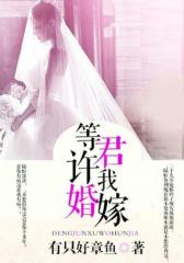 等君许我婚嫁