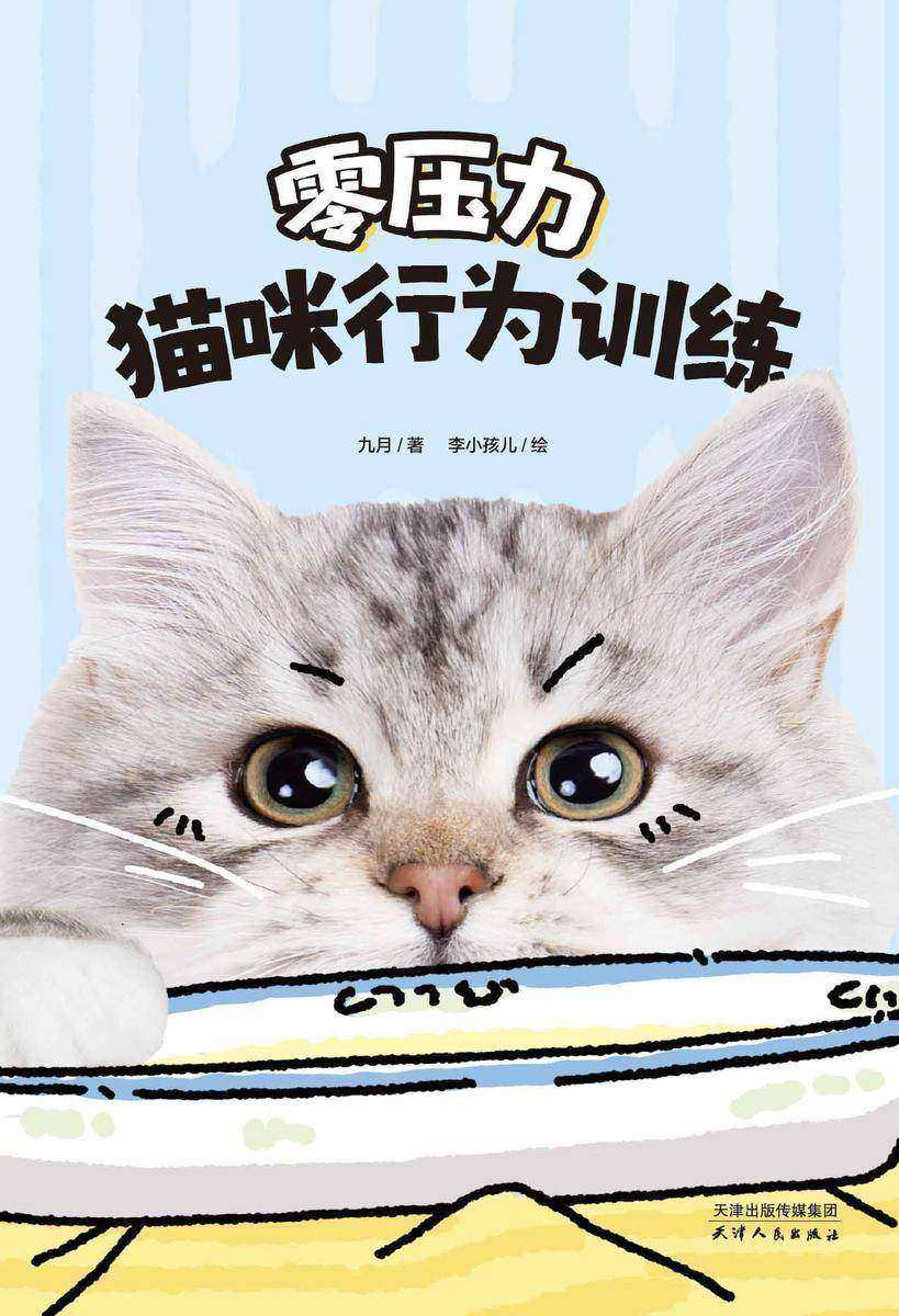 零压力猫咪行为训练