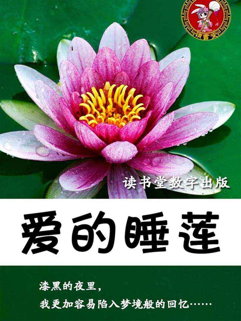 爱的睡莲