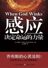 感应(试读本)