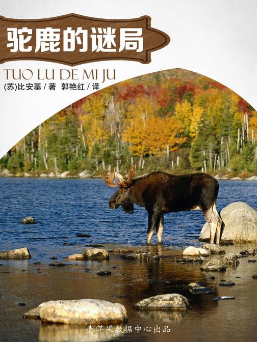 驼鹿的谜局