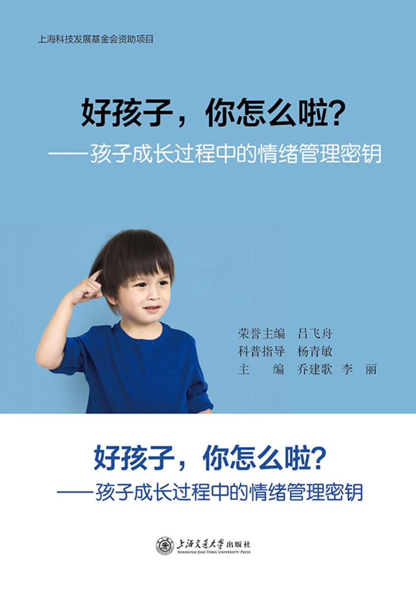 好孩子,你怎么啦?孩子成长过程中的情绪管理密钥