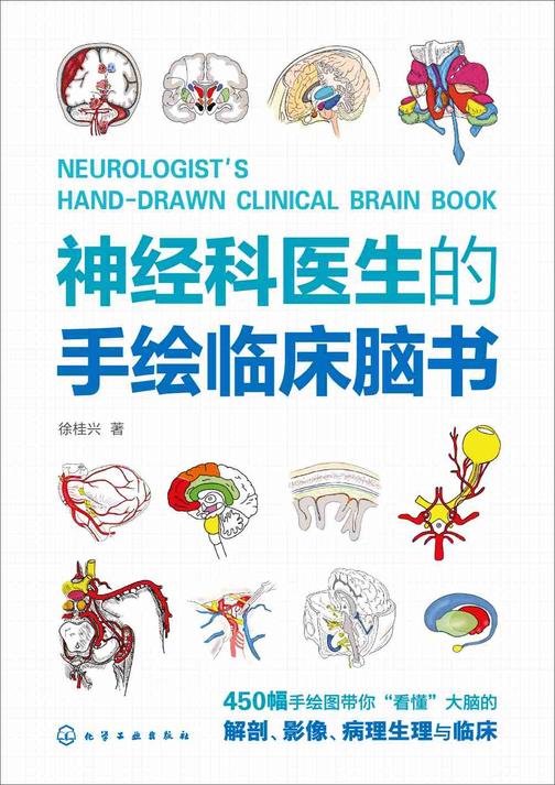 神经科医生的手绘临床脑书