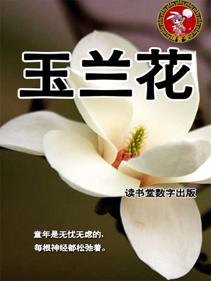 玉兰花