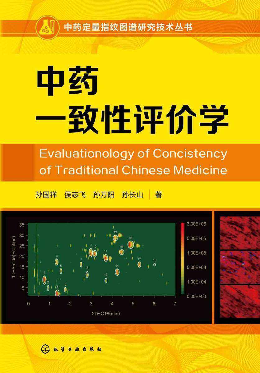 中药定量指纹图谱研究技术丛书--中药一致性评价学