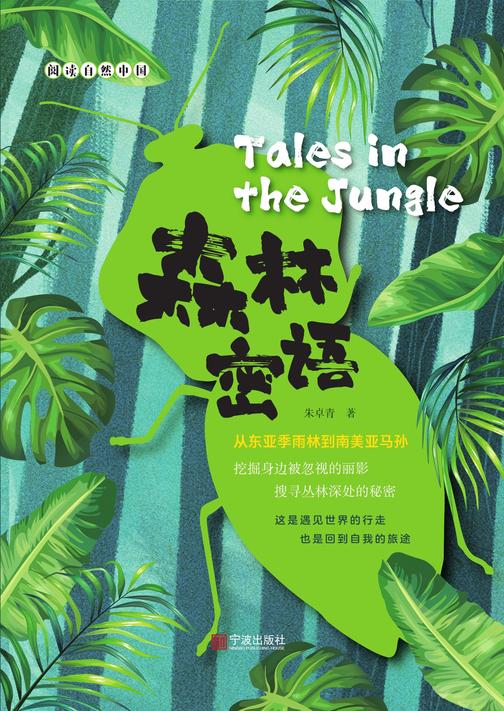 森林密语