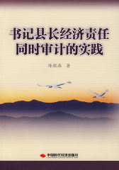 书记县长经济责任同时审计的实践(试读本)