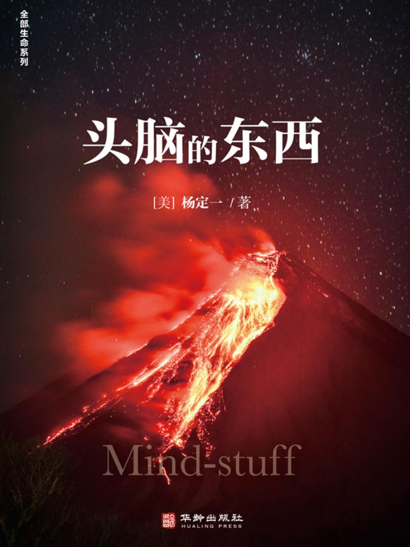 头脑的东西