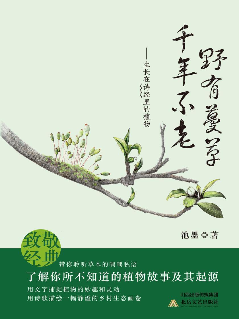 野有蔓草，千年不老：生长在《诗经》里的植物