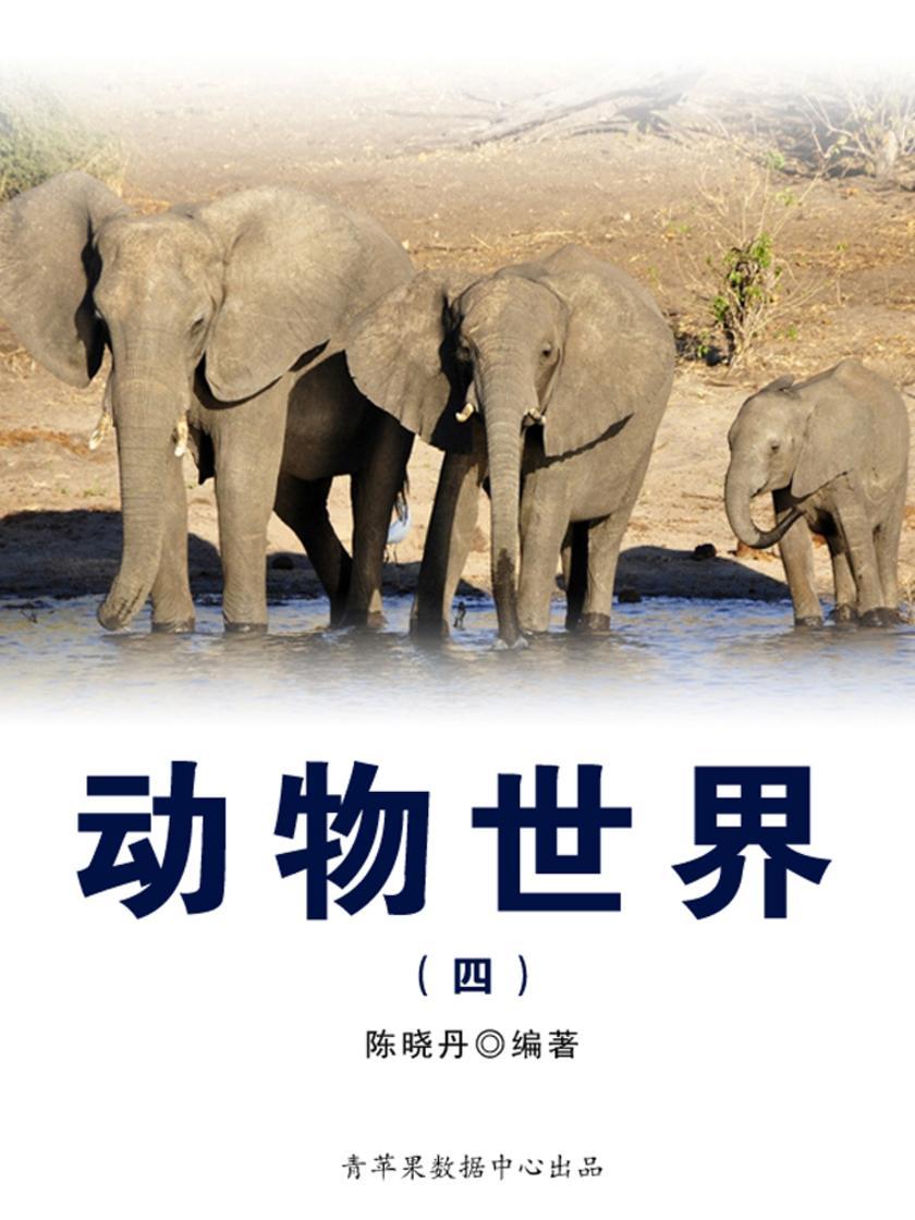 动物世界4