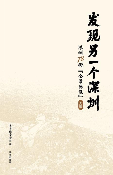 发现另一个深圳:深圳 78 街“全景画像”. 大鹏