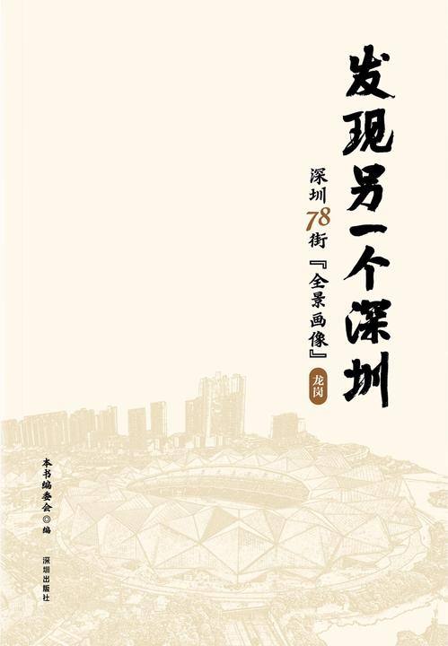 发现另一个深圳:深圳 78 街“全景画像”. 龙岗