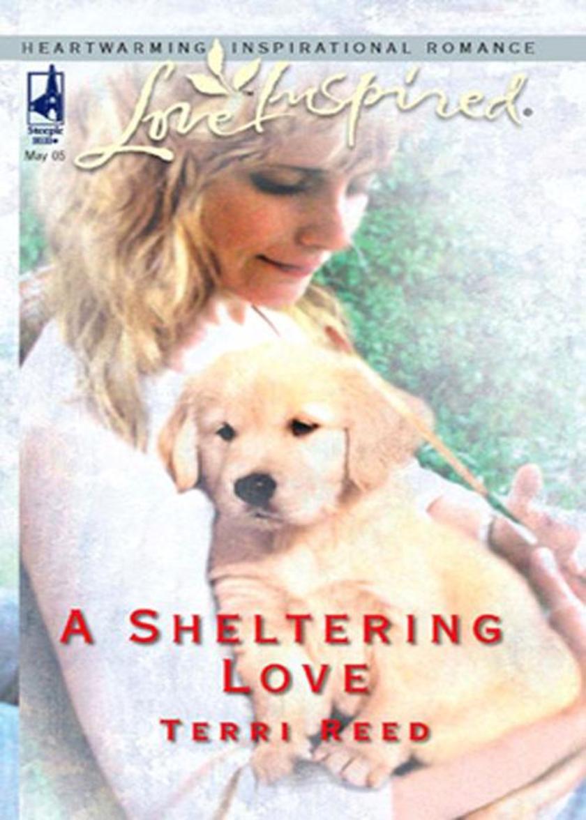 A Sheltering Love (Mills & Boon Love Inspired)