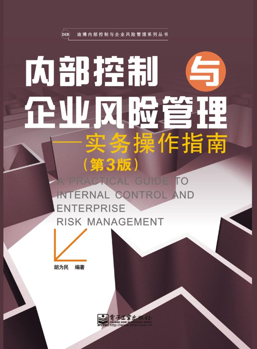 内部控制与企业风险管理：实务操作指南(第3版)