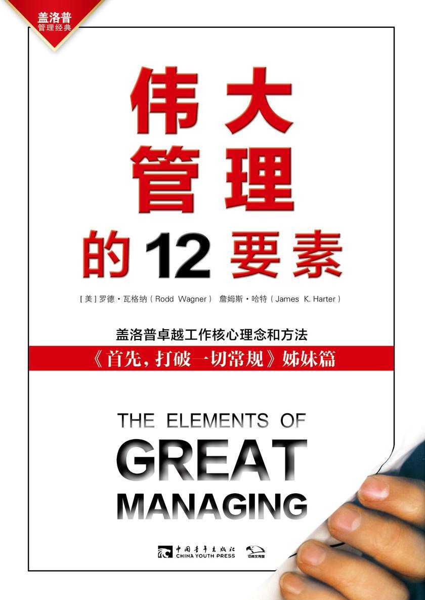伟大管理的12要素：《首先，打破一切常规》姊妹篇 盖洛普问题分析与卓越工作法(企业员工、政府公务员、军队官兵培训读本)