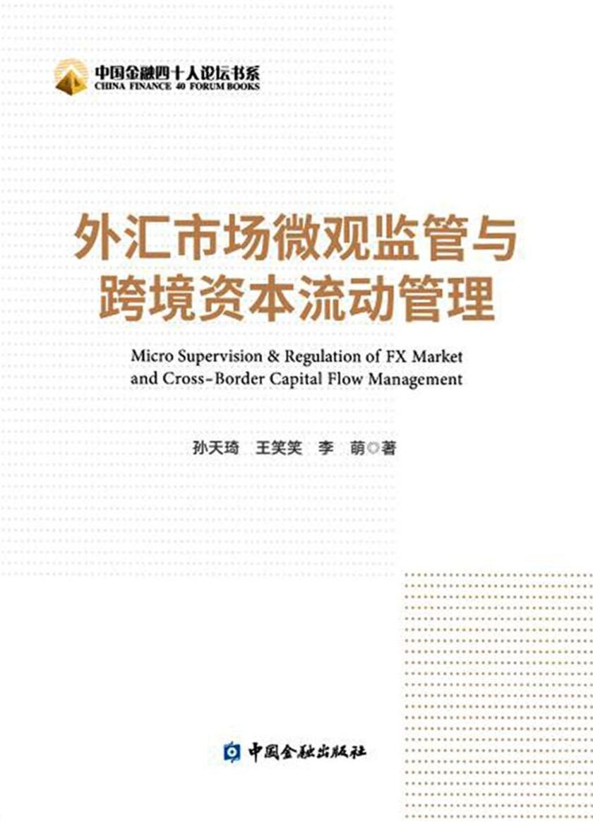 外汇市场微观监管与跨境资本流动管理(中国金融四十人论坛书系)