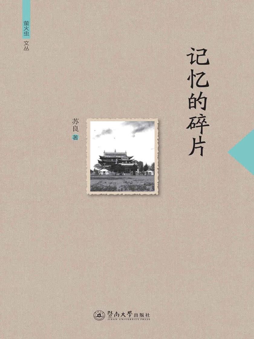 萤火虫文丛·记忆的碎片