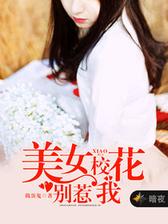 美女校花别惹我