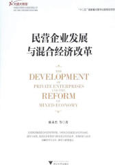 民营企业发展与混合经济改革(大国大转型中国经济转型与创新发展丛书)