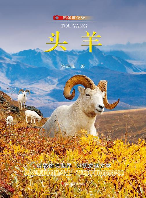 头羊(影像青少版)