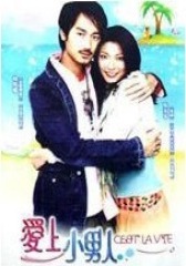 爱上小男人(影视)