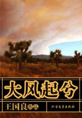 大风起兮