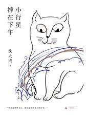 小行星掉在下午