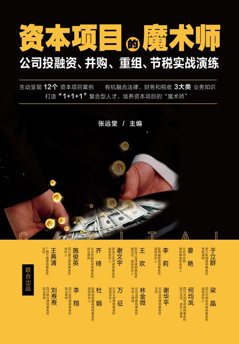 资本项目的魔术师:公司投融资、并购、重组、节税实战演练