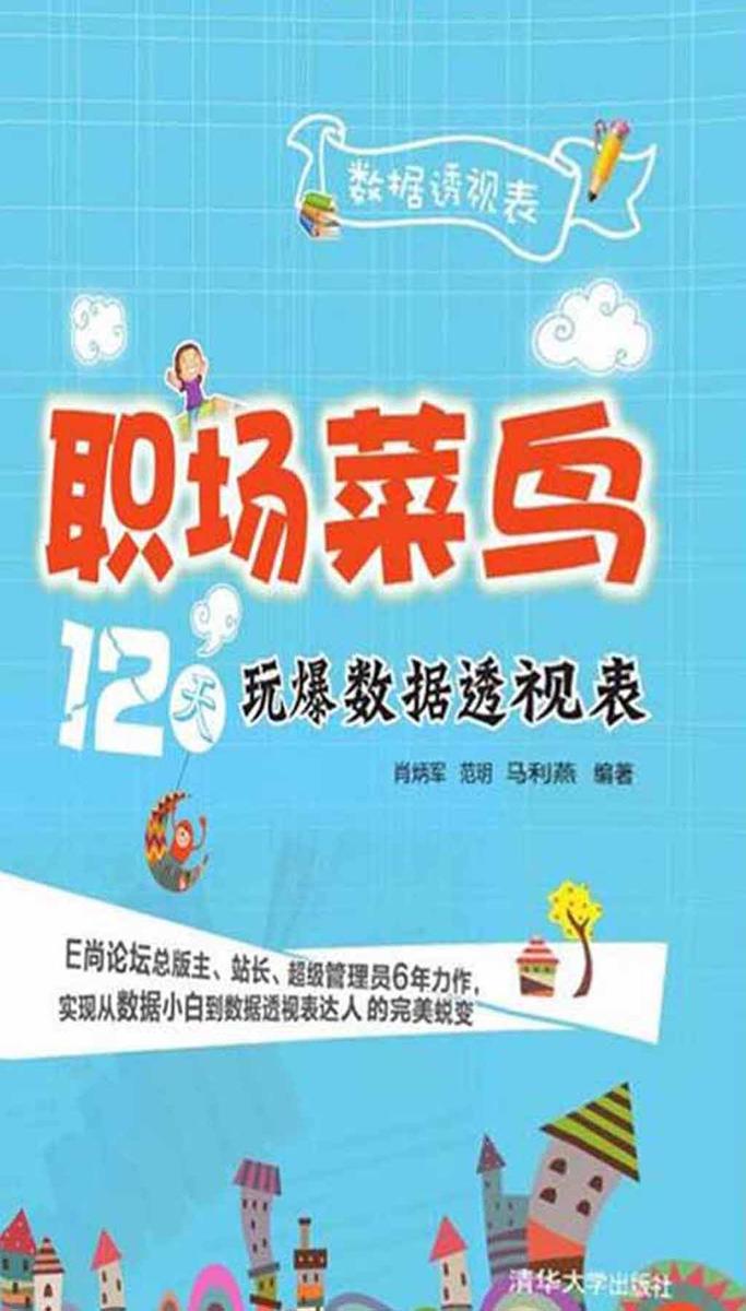 职场菜鸟12天玩爆数据透视表