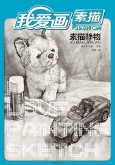 素描静物(仅适用PC阅读)