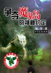 飞龙小队系列：争夺魔鬼岛的神秘约定