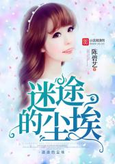 迷途的尘埃