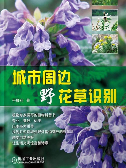 城市周边野花草识别