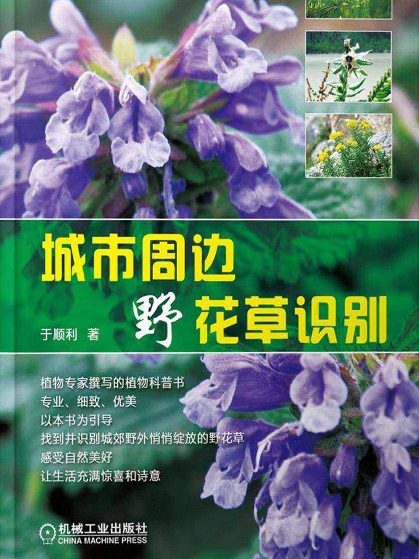 城市周边野花草识别
