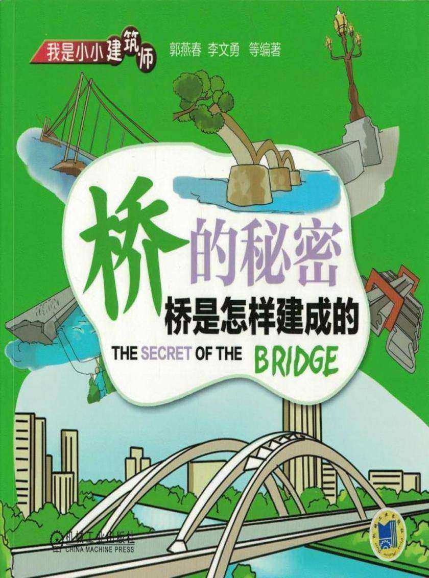 桥的秘密 桥是怎样建成的