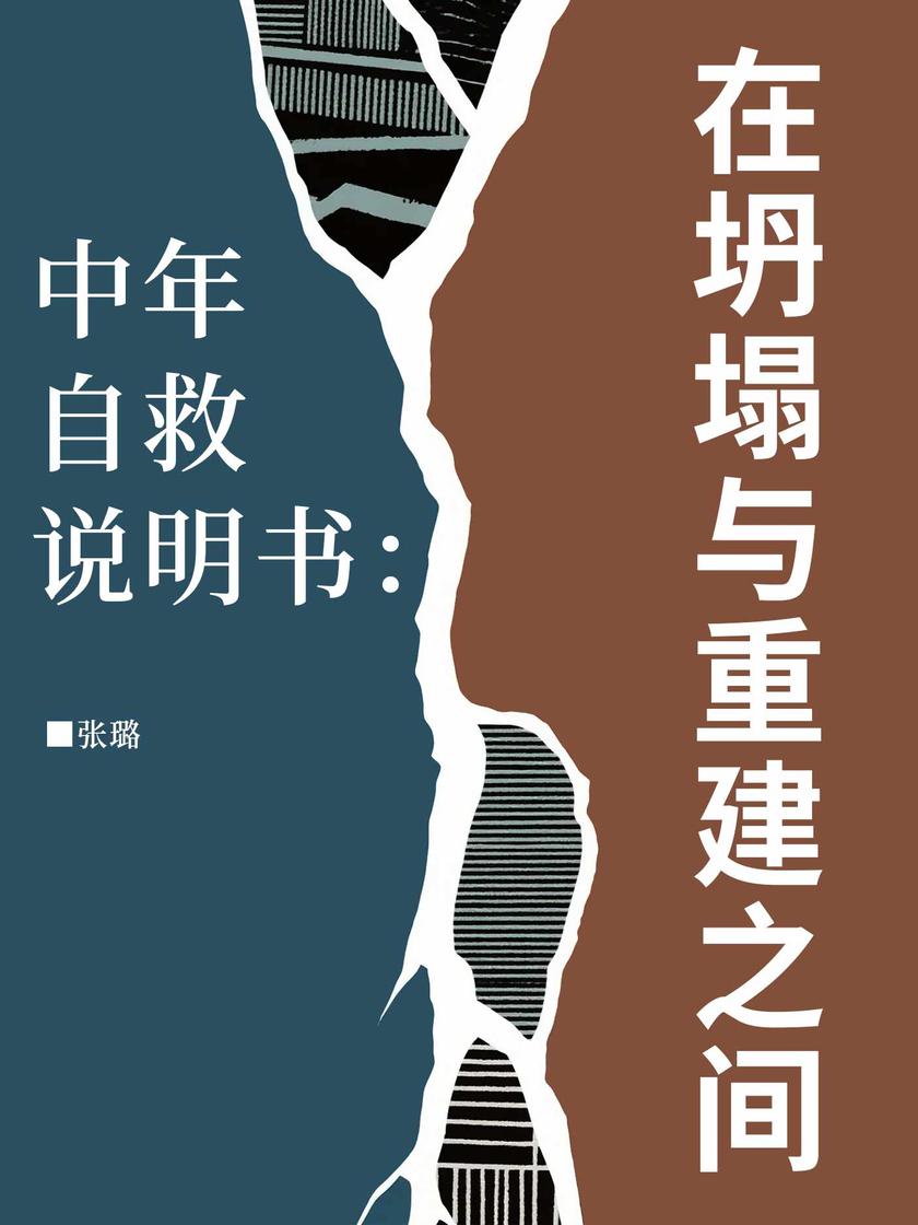 中年自救说明书:在坍塌与重建之间
