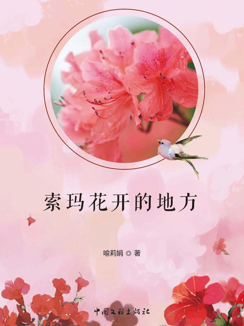 索玛花开的地方