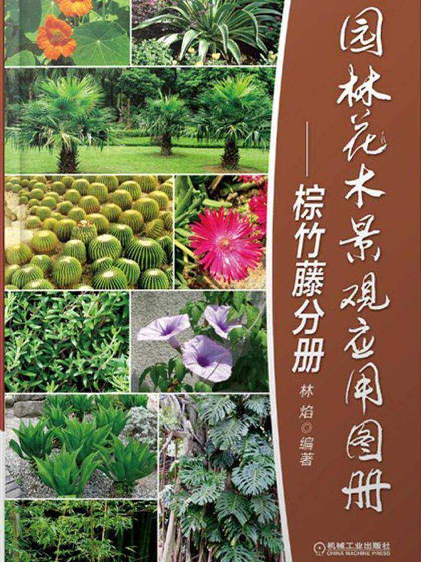 园林花木景观应用图册-棕竹藤分册