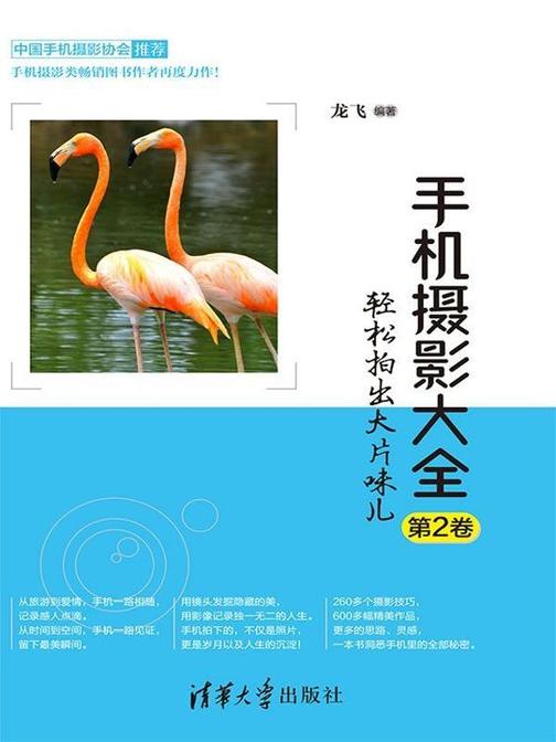 手机摄影大全——轻松拍出大片味儿(第2卷)