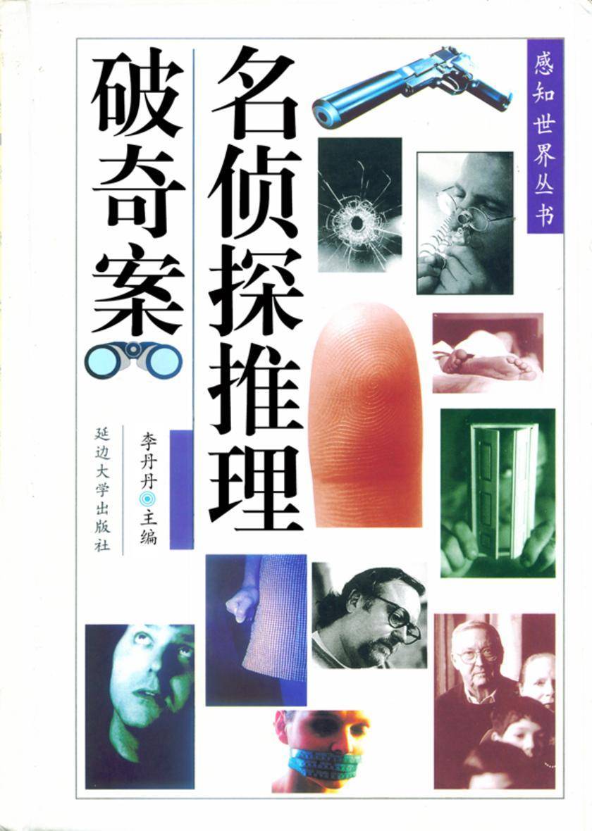 名侦探推理破奇案