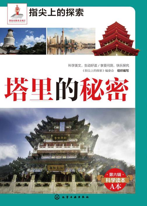 塔里的秘密
