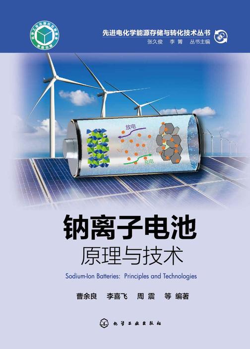 先进电化学能源存储与转化技术丛书--钠离子电池:原理与技术