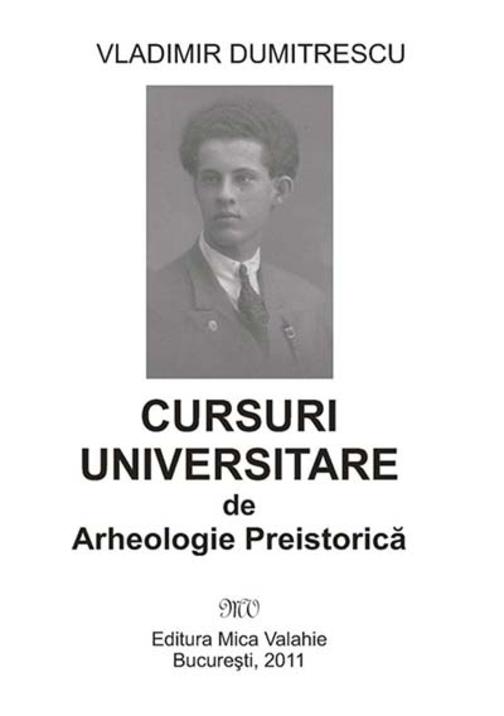 Cursuri universitare de arheologie preistoric?