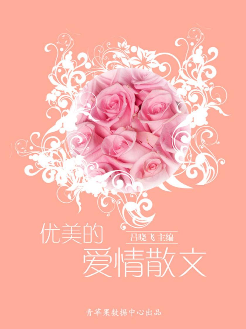 优美的爱情散文