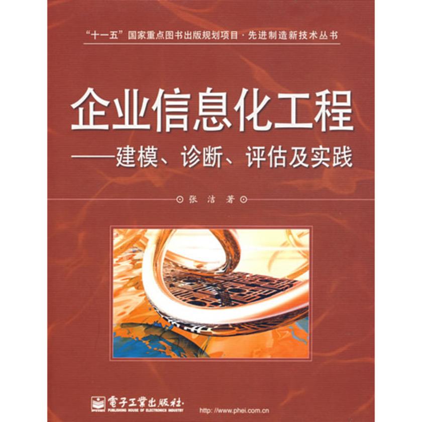 企业信息化工程——建模、诊断、评估及实践