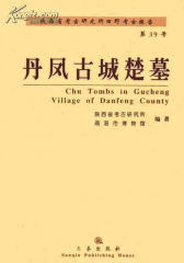 丹凤古城楚墓