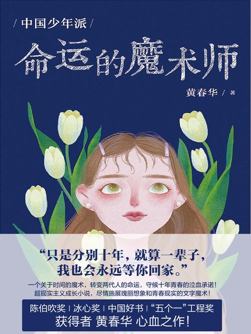 中国少年派:命运的魔术师【陈伯吹奖、冰心奖、中国好书、五个一工程奖获得者黄春华心血之作!】